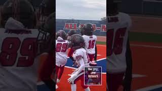 Mad Dog 8U touchdown thespillovernetwork Super Bowl [upl. by Yl]