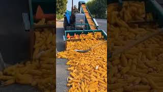 Corn Machine Work Without [upl. by Gnaig]