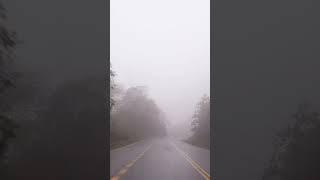 Evening Drizzle drive music nature mist [upl. by Korrie162]