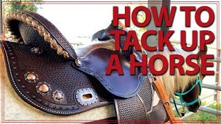 How to Saddle a Horse Western Style  Jeffers Equine [upl. by Ley]