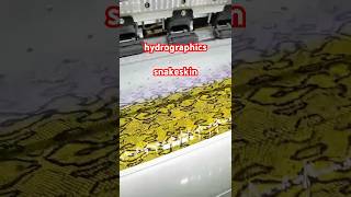 Print snakeskin grain hydroponics [upl. by Estell]