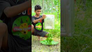 Fire Green Chicken Recipe  Full Chicken Tandoori Crazy Idea  Village Boys Cooking Power Shorts [upl. by Tomas374]