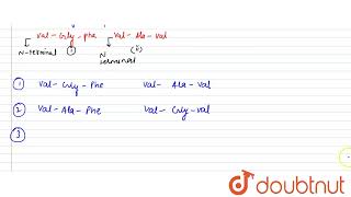 A hexapeptide has the composition AlaGlyPheVal Both the N terminal and C teminal units are [upl. by Nnyleitak216]