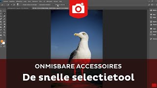 De nieuwe snelle selectietool  Adobe Photoshop Quick Tip  Zoomnl Fotografie Tips [upl. by Jackie]