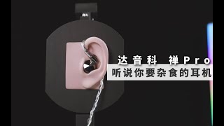 旗舰动圈系列  达音科 禅Pro评测 VS 瑞弦VR1  水月雨 光  拜雅榭兰图  AKG N5005  七彩虹 五重奏  索尼IER M9 [upl. by Barthold]