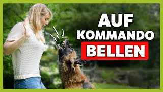 Mit dieser ÜBUNG lernt dein Hund das VERBELLEN [upl. by Yllier]