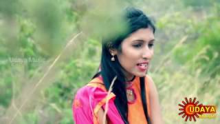 SANGATHI NINNA  MEGHA ADITHI  SOME GEETHA  UDAYA MUSIC  kannada melody hit songs cover songs [upl. by Haakon]