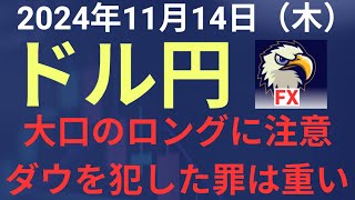 【相場解説】２０２４年１１月１４日（木）ドル円 [upl. by Adnicul]