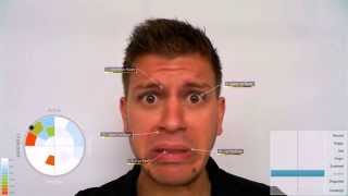 VicarVision  FaceReader Classifications Demo [upl. by Ahsimac]