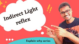 Indirect light reflex happens in human eye WHY [upl. by Nrublim618]