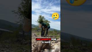 Rompió el Récord Mundial al Plantar 23000 Árboles en un Día 🤯❤️ antomos  YTIGTT [upl. by Attenahs]