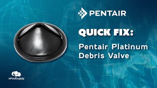 Quick Fix  Pentair Kreepy Krauly Platinum Debris Valve [upl. by Naples993]