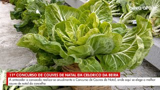 Concurso de Couves de Natal elegeu a melhor couve de Celorico da Beira [upl. by Grenier]