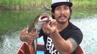 How to fish for snakeheads with the Zeezar Frogs [upl. by Gapin]