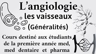 Généralités sur les vaisseaux langiologie anatomie 1ère medecine chirdent et pharma [upl. by Drugge]