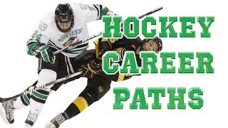 Hockey Career Paths Pee Wee to Pro AHL CHL ECHL USHL CJHL NAHL NCAA USport etc [upl. by Mckeon]