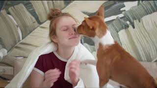 Basenji Things to Know about Before Getting A Basenji Puppy [upl. by Heydon243]