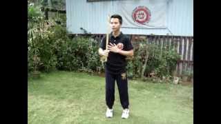 Balintawak Eskrima 12 Basic Strikes [upl. by Natsyrk]