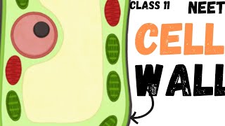 NEET CELL  THE UNIT OF LIFE  CELL WALL  CLASS 11 neet ncert youtube youtubeshorts cell [upl. by Neurath]