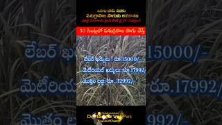 MGNRRGS  FODDER CROPS  పశుగ్రాసాల పెంపకానికి ప్రోత్సాహం [upl. by Magnuson]