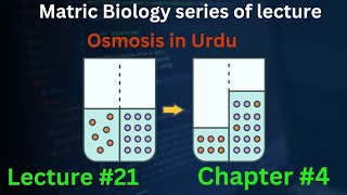 osmosis class 9 Biology in Urdu  in Hindi  Lec 21  chp4  cells and tissues [upl. by Rihsab]