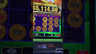 5k win All aboard piggies pennies slot machine mega jackpot hand pay at tachi palace [upl. by Novad]