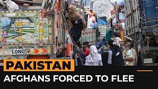 Deportation deadline arrives for Afghan refugees in Pakistan  Al Jazeera Newsfeed [upl. by Jennilee]