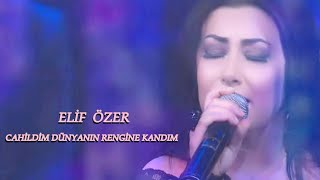 Cahildim Dünyanın Rengine Kandım  Elif Özer [upl. by Uhayile]