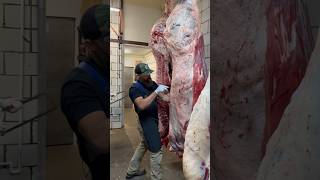 Breaking down beef 🔪🥩 shorts shortsvideo viral trending butcher [upl. by Aniroz359]