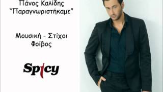 Panos kalidis Paragnoristikame Official Song Release HQ [upl. by Dazraf]