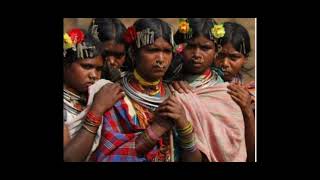 Economic Status Of tribals of India  Nishika Pawar Sociology Research [upl. by Genisia]