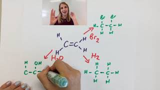 Addition reactions of alkenes explained  react with bromine hydrogen and steam GCSE [upl. by Ennyroc230]