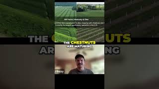 Transforming Agriculture The Largest Agroforestry Operation in the US [upl. by Prior713]