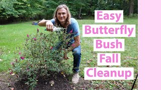 Butterfly Bush Fall Pruning Cleanup Deadheading amp Care Buddleia spp Buddleja [upl. by Henleigh]