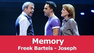 Freek Bartels over Next to Normal  Memory [upl. by Rintoul]