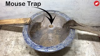 Mouse TrapHow to make a Mouse TrapAutomatic Rat Trap  Glue Trap Channel [upl. by Ellevart159]