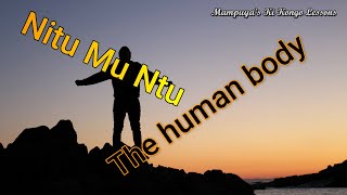 Ki kongo  Human body  Nitu Mu Ntu  part 2 [upl. by Eilram]