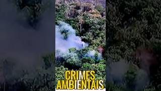 Crimes ambientais terá regime fechado meioambiente nãoasqueimadas [upl. by Rihaz818]