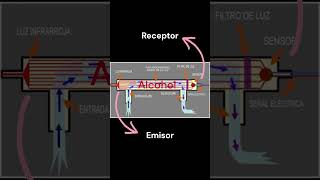 Revelando el Secreto del Alcoholímetro La Magia del Infrarrojo 🌈🔮 [upl. by Fagin]