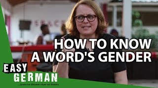 How to know a words gender  Super Easy German 70 [upl. by Jaan525]