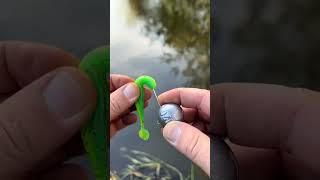 Soft Bait Rigging Technique with Round Jig HeadFishingTips SoftBait JigHead FishingGear [upl. by Siri539]