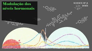 Modulação dos níveis hormonais [upl. by Acirt]