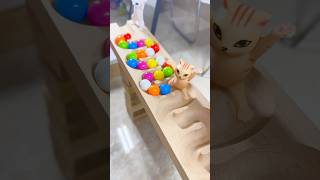 Marble runs with extremely rolling slopes marblerun marblerunrace asmr [upl. by Euphemiah]