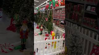 Christmas Trees and Christmas Decorations and Snow 112724 [upl. by Kelila]