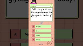 🍞 Discover the Body’s Glycogen Powerhouse mededtrivia quiz biology smarttrivia glycogenstorage [upl. by Eidassac]