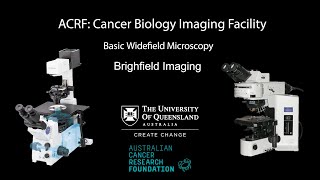 08 Widefield Microscopy Training Brightfield Imaging [upl. by Aihcrop542]