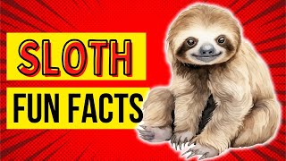 🌴 10 Interesting Slothtastic Facts You Never Knew 🦥 [upl. by Avrenim]