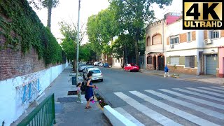 Calle Amenábar en Colegiales Buenos Aires Argentina Virtual Walking Tour January 2024 4K [upl. by Ellenwahs]