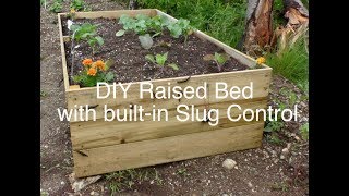 DIY Raised bed garden with builtin slug control [upl. by Mowbray]