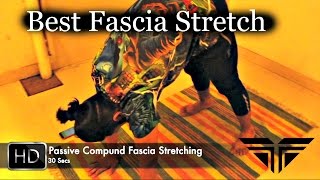 Quick amp Easy Static Passive Stretching  Gain Flexibility In 3 Mins  Self Fascia Stretch [upl. by Adda]